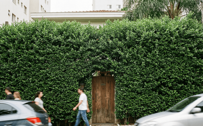 Cerca-viva rápida e eficiente: a tendência que acaba com o barulho da rua