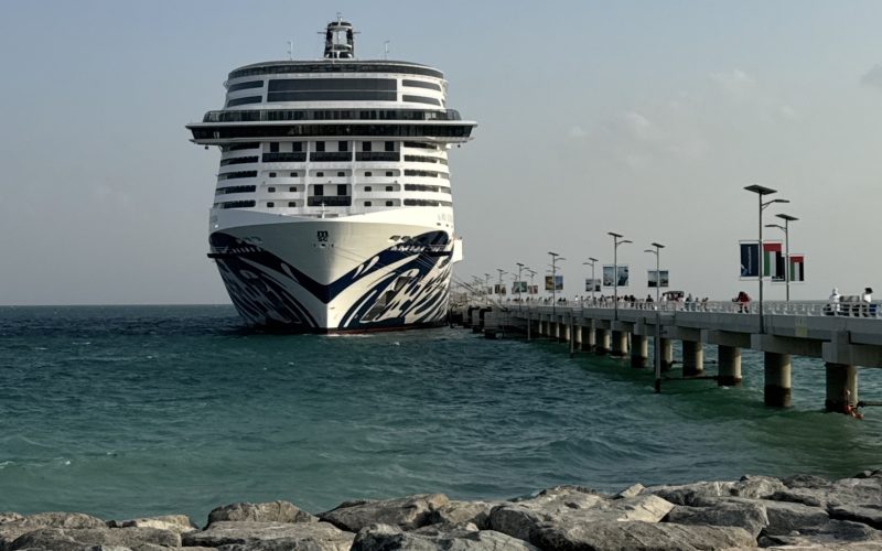 Descubra as maravilhas e os valores de um cruzeiro no MSC Euribia pelo Golfo Arábico