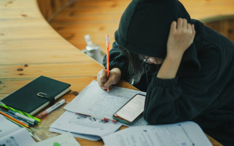O efeito da pesquisa cerebral transcende a simples aquisição de conhecimento