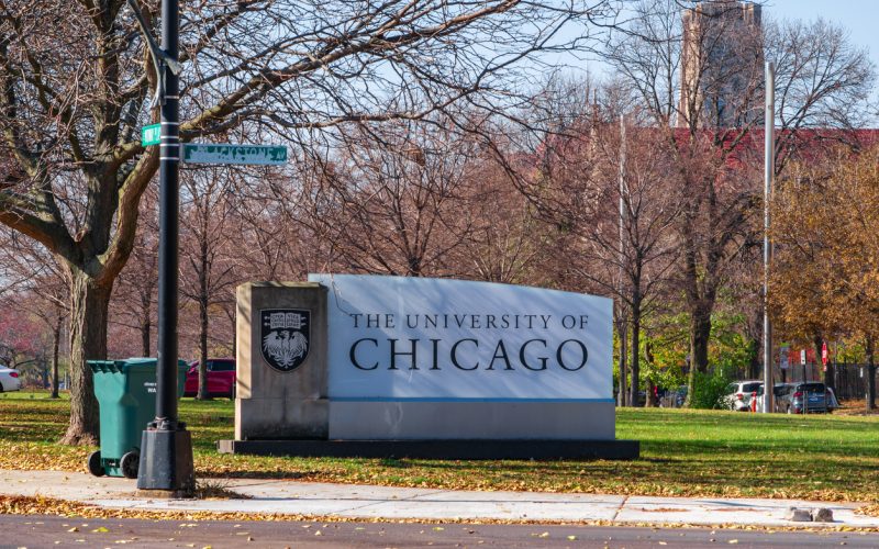 Natação e formação acadêmica impulsionam a procura por aprendizado em Chicago