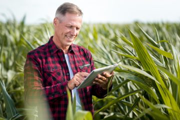 Cauê Lopes Martins ressalta o papel vital da saúde do solo na prosperidade das plantações agrícolas