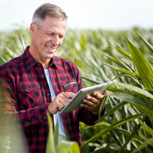 Cauê Lopes Martins ressalta o papel vital da saúde do solo na prosperidade das plantações agrícolas