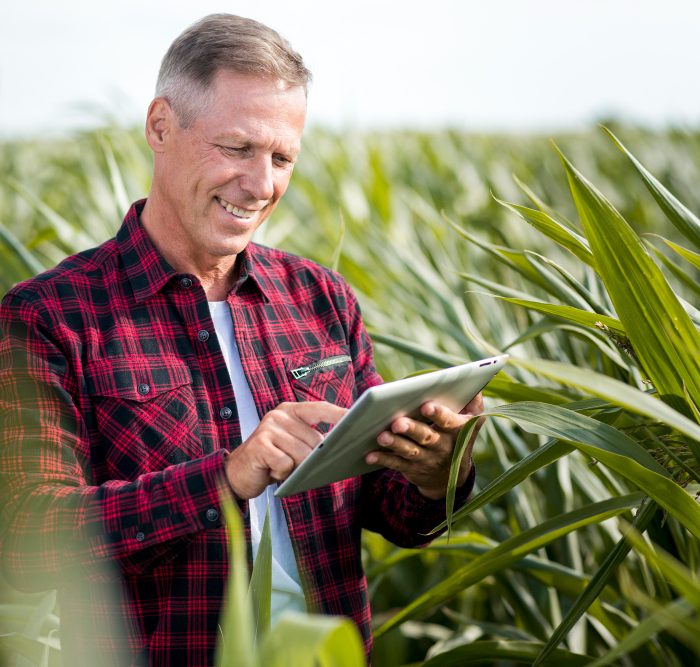 Cauê Lopes Martins ressalta o papel vital da saúde do solo na prosperidade das plantações agrícolas