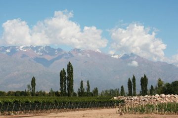 Mendoza oferece tarifas de hotéis até 20% inferiores às praticadas no Brasil