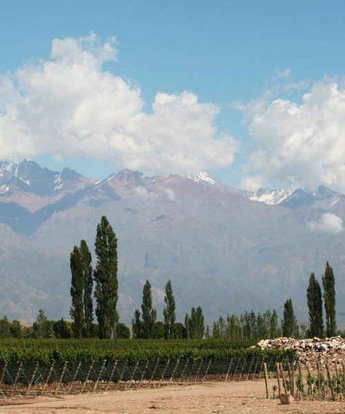 Mendoza oferece tarifas de hotéis até 20% inferiores às praticadas no Brasil
