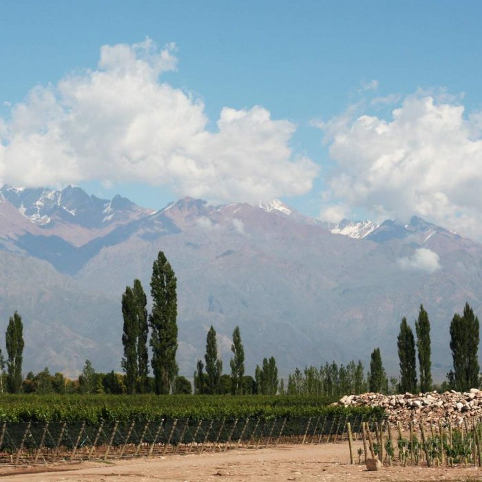 Mendoza oferece tarifas de hotéis até 20% inferiores às praticadas no Brasil
