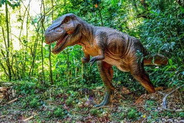 Terra dos Dinossauros estende horários de visitação em julho; confira os novos horários