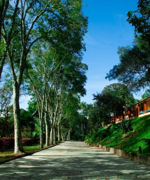 Refúgio em Igaratá (SP) investe na harmonia entre bem-estar e natureza