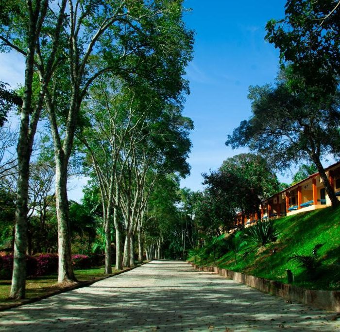 Refúgio em Igaratá (SP) investe na harmonia entre bem-estar e natureza