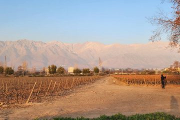 Neve e vinhos: a combinação perfeita para uma viagem inesquecível ao Chile