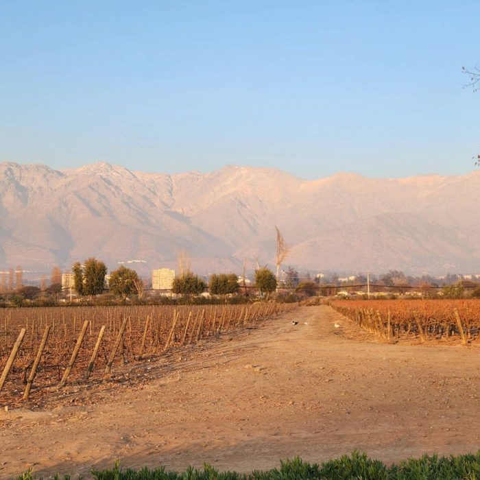 Neve e vinhos: a combinação perfeita para uma viagem inesquecível ao Chile